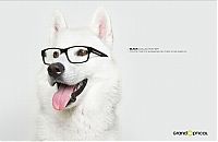 Architecture & Design: animals in advertisement