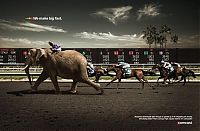 Architecture & Design: animals in advertisement