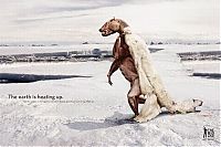 Architecture & Design: animals in advertisement