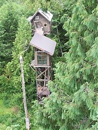 Architecture & Design: treehouse