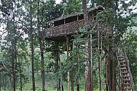 Architecture & Design: treehouse