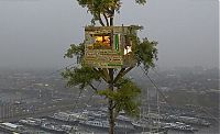 TopRq.com search results: treehouse