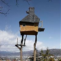 Architecture & Design: treehouse