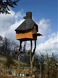 Architecture & Design: treehouse