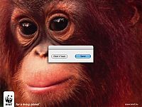 TopRq.com search results: controversial advertising campaign