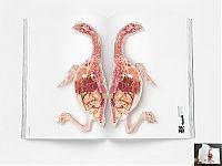 Architecture & Design: creative double page magazine ads