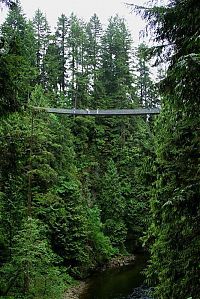 Architecture & Design: Capilano Suspension Bridge, British Columbia, Canada