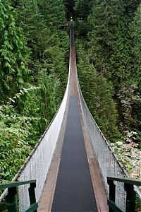 TopRq.com search results: Capilano Suspension Bridge, British Columbia, Canada