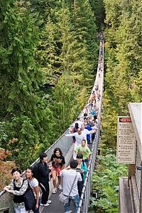 TopRq.com search results: Capilano Suspension Bridge, British Columbia, Canada