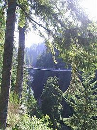 Architecture & Design: Capilano Suspension Bridge, British Columbia, Canada