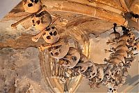 TopRq.com search results: cathedral made out of human remains