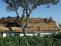 Architecture & Design: House with a beautiful thatch roof, England, United Kingdom