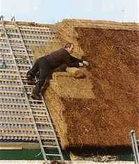 Architecture & Design: House with a beautiful thatch roof, England, United Kingdom