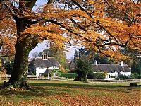 TopRq.com search results: House with a beautiful thatch roof, England, United Kingdom