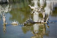 TopRq.com search results: Wat Rong Khu, white temple, Chiang Rai, Thailand