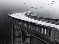 TopRq.com search results: bridges around the world