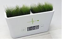 TopRq.com search results: green friendly design