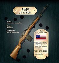 TopRq.com search results: the evolution of the rifle