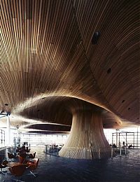 Architecture & Design: wooden architecture