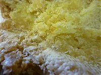 TopRq.com search results: casu marzu cheese