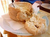 TopRq.com search results: casu marzu cheese