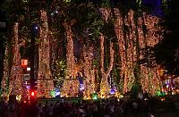 Architecture & Design: christmas decoration