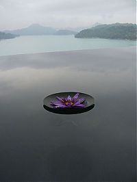 TopRq.com search results: infinity edge pool design