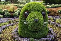 Architecture & Design: garden topiary plant art