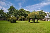 Architecture & Design: garden topiary plant art