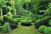 Architecture & Design: garden topiary plant art