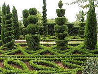 Architecture & Design: garden topiary plant art