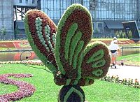 Architecture & Design: garden topiary plant art