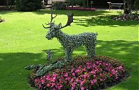 Architecture & Design: garden topiary plant art