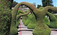 Architecture & Design: garden topiary plant art