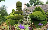 Architecture & Design: garden topiary plant art