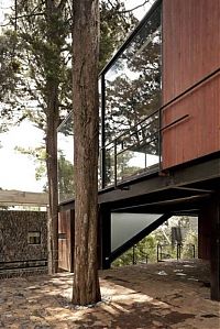 Architecture & Design: treehouse