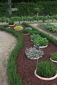 Architecture & Design: garden design ideas