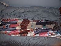 Architecture & Design: dakimakura, japanese love hugging pillows