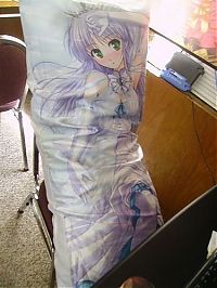 Architecture & Design: dakimakura, japanese love hugging pillows