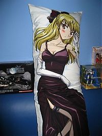 Architecture & Design: dakimakura, japanese love hugging pillows