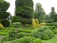 Architecture & Design: garden topiary plant art