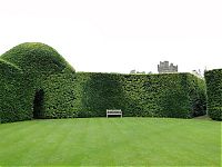 Architecture & Design: garden topiary plant art