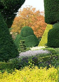 Architecture & Design: garden topiary plant art