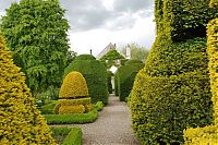 Architecture & Design: garden topiary plant art