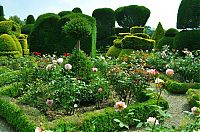 Architecture & Design: garden topiary plant art