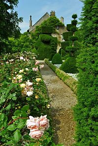 Architecture & Design: garden topiary plant art