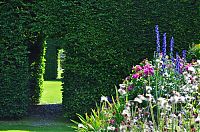 Architecture & Design: garden topiary plant art