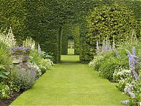 Architecture & Design: garden topiary plant art