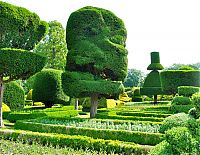 Architecture & Design: garden topiary plant art