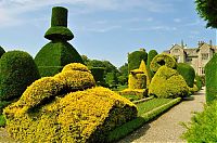 Architecture & Design: garden topiary plant art